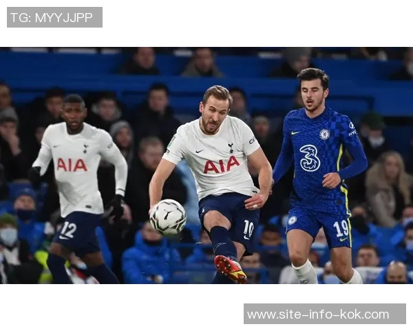 英超中卫搭档场均失球统计费迪南德维迪奇领衔红军组合表现不俗