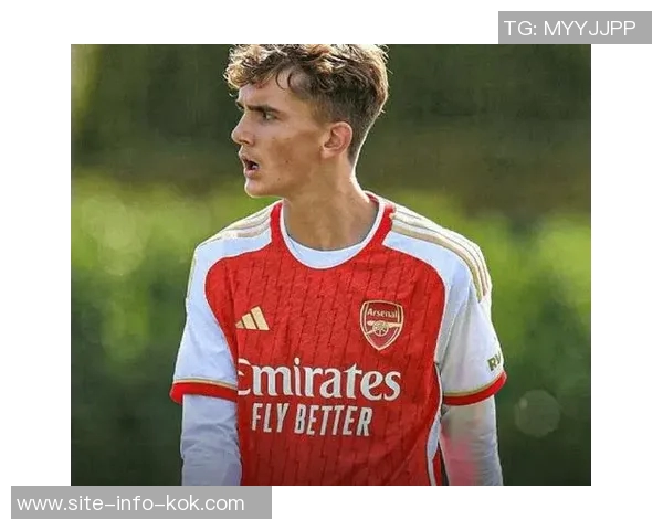 阿森纳欧冠名单悬念揭晓塞特福德有望入选萨尔蒙道曼仍待确认 阿森纳欧冠名单悬念揭晓塞特福德有望入选萨尔蒙道曼仍待确认