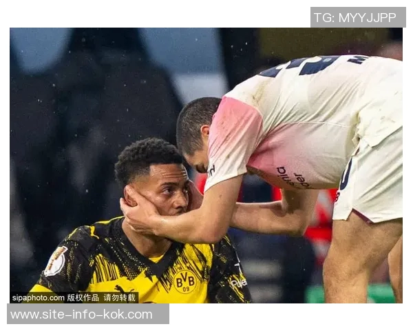 施洛特贝克谈霍芬海姆表现出色缩小与其他球队差距的信心增强