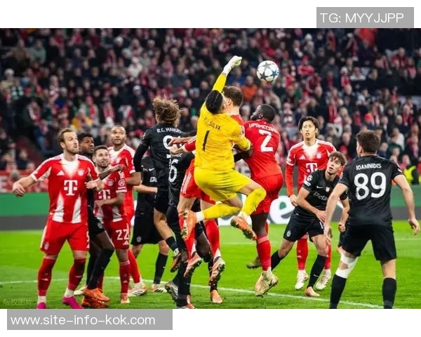 拜仁极端球迷组织策划烟火表演遭禁赛与罚款双重处罚